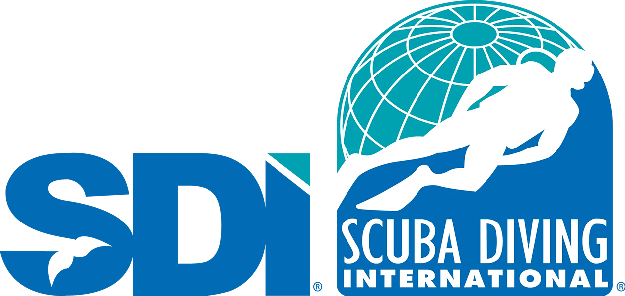 Logo_SDI_Combo_Color_Large_RGB_v0217